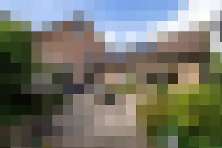 Nieuwe Kerkweg 14 Wehl thumbnail 19