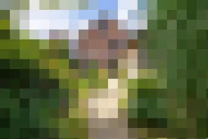 Nieuwe Kerkweg 14 Wehl foto 2