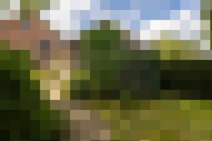 Nieuwe Kerkweg 14 Wehl thumbnail 20