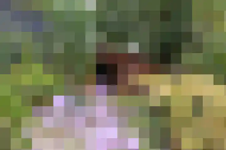 Nieuwe Kerkweg 14 Wehl thumbnail 21