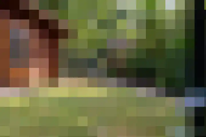 Nieuwe Kerkweg 14 Wehl thumbnail 22
