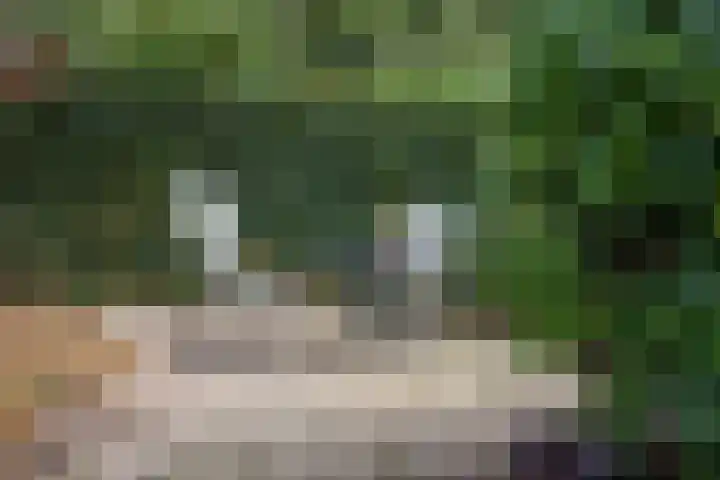 Nieuwe Kerkweg 14 Wehl thumbnail 23
