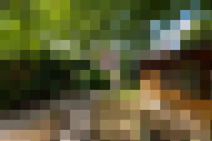 Nieuwe Kerkweg 14 Wehl thumbnail 24