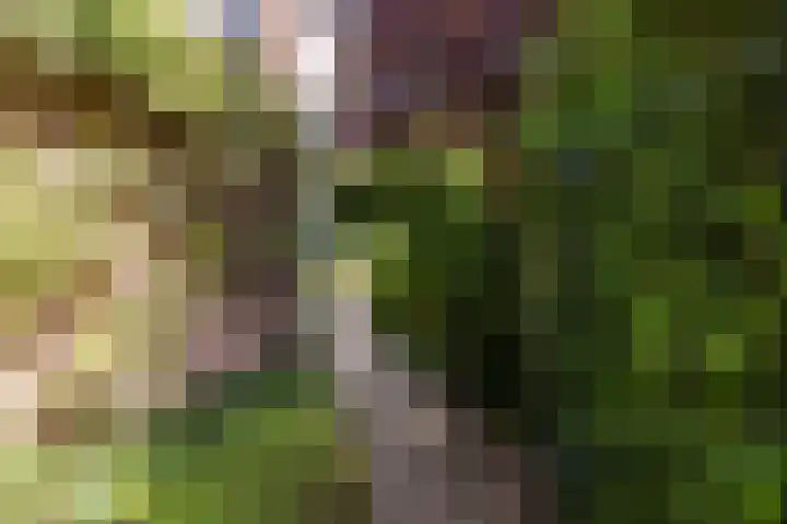 Nieuwe Kerkweg 14 Wehl thumbnail 25