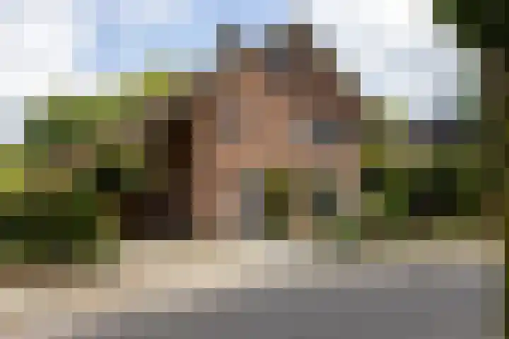 Nieuwe Kerkweg 14 Wehl thumbnail 26