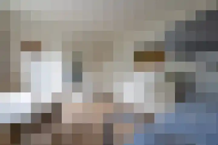 Nieuwe Kerkweg 14 Wehl thumbnail 31