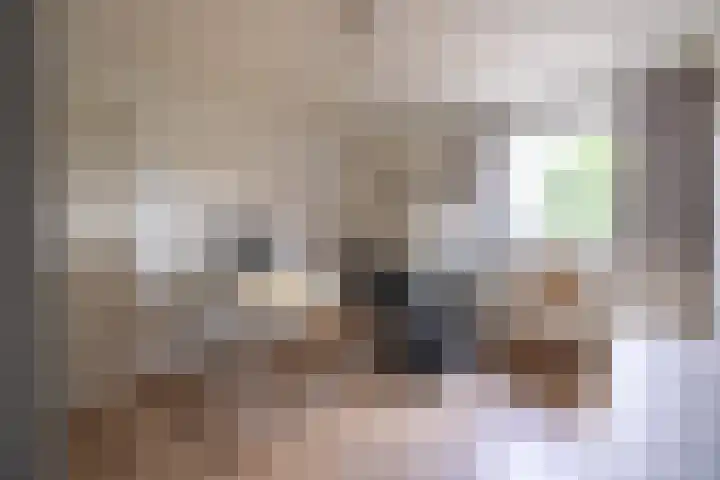 Nieuwe Kerkweg 14 Wehl thumbnail 34