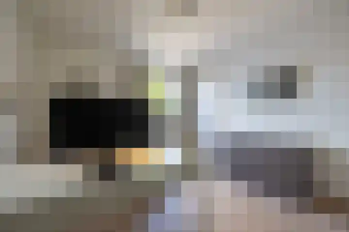 Nieuwe Kerkweg 14 Wehl thumbnail 35