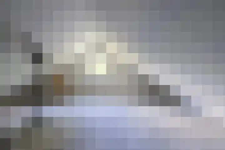 Nieuwe Kerkweg 14 Wehl thumbnail 38