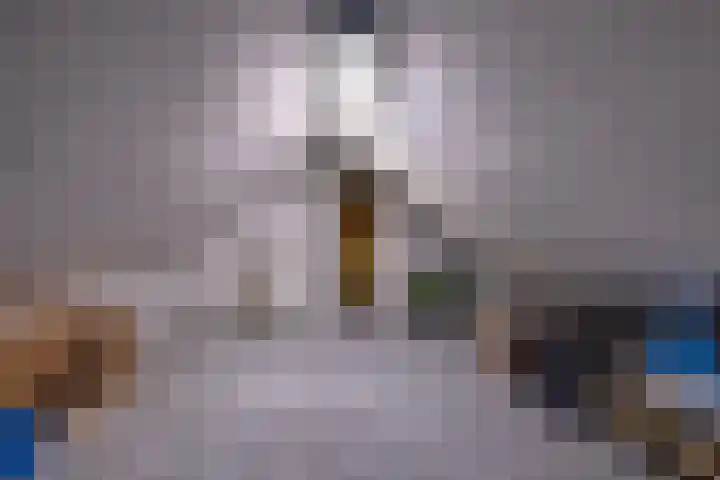 Nieuwe Kerkweg 14 Wehl thumbnail 40