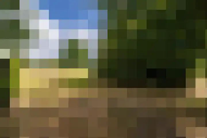 Nieuwe Kerkweg 14 Wehl thumbnail 52