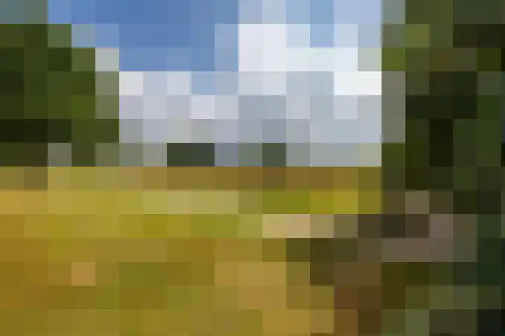 Nieuwe Kerkweg 14 Wehl thumbnail 53