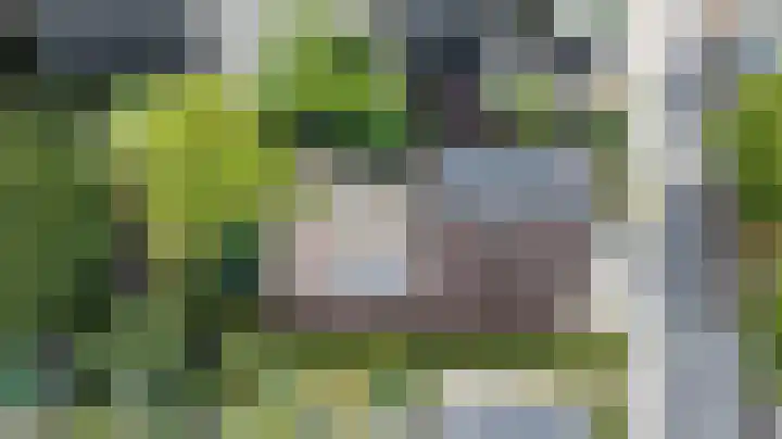 Nieuwe Kerkweg 14 Wehl thumbnail 54