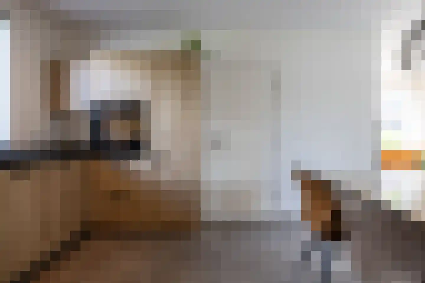 Nieuwe Kerkweg 37 Wehl thumbnail 13