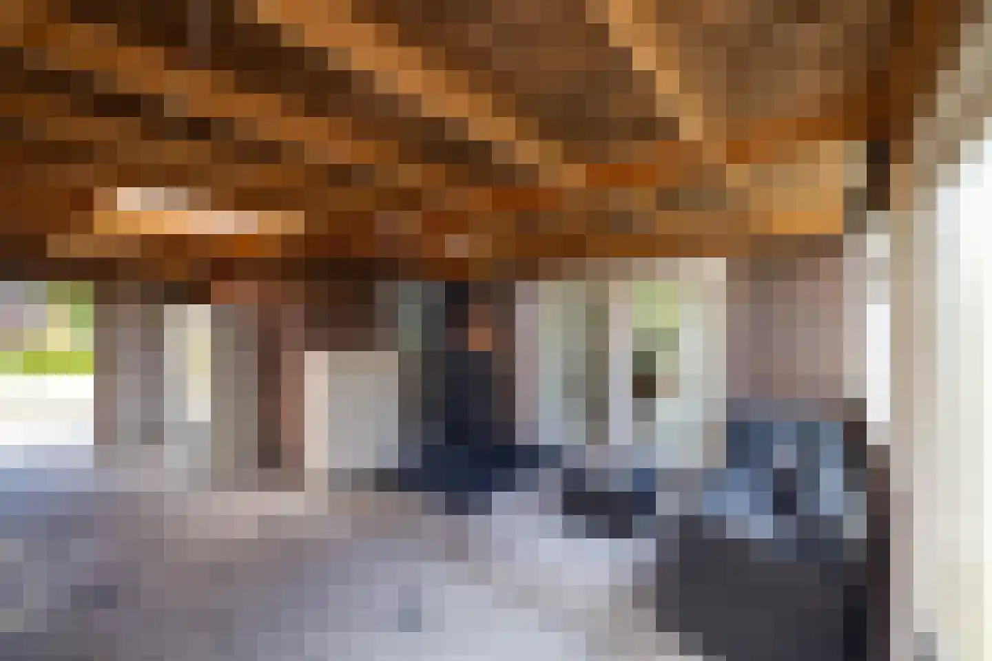 Nieuwe Kerkweg 37 Wehl thumbnail 19