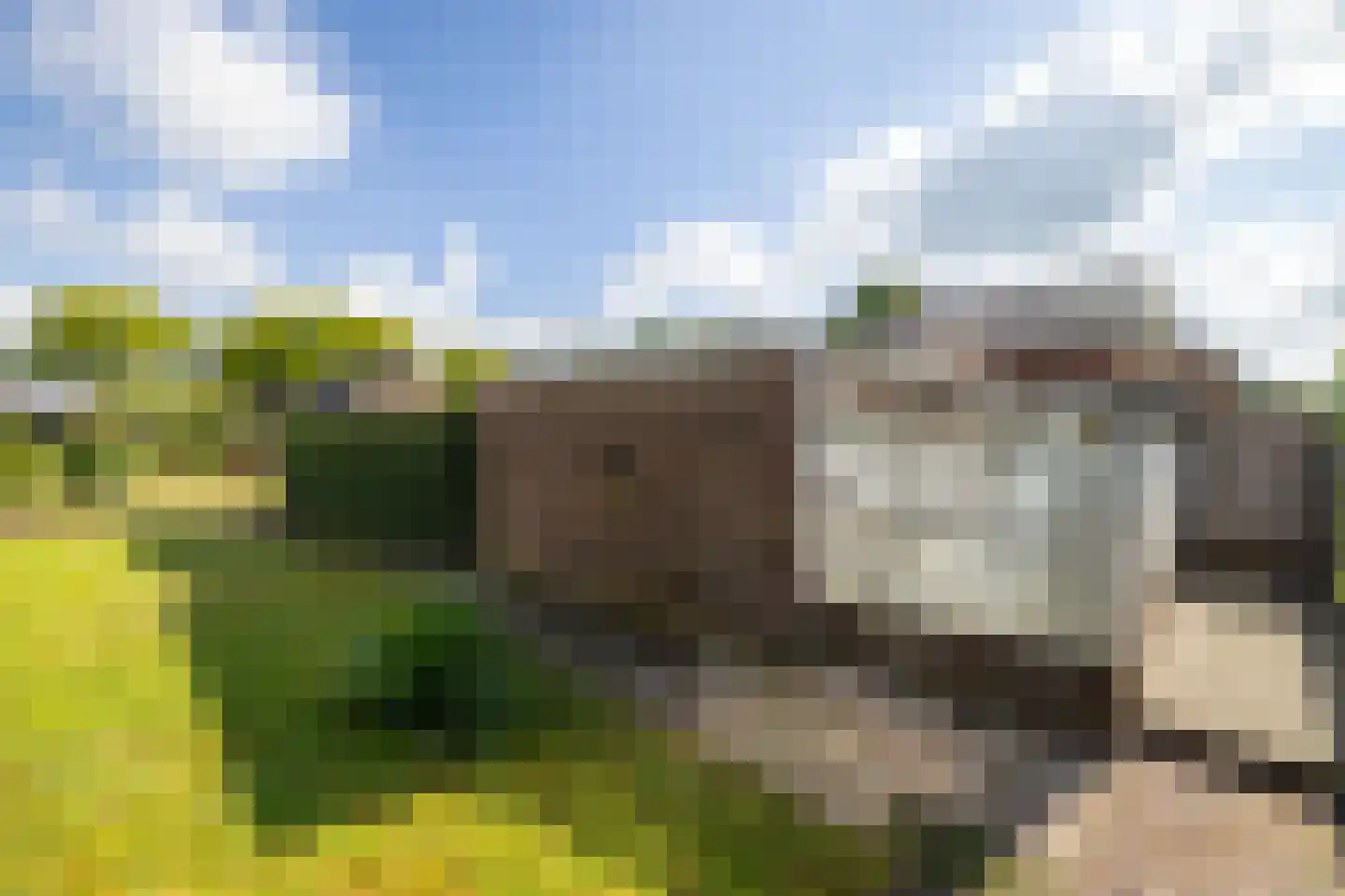 Nieuwe Kerkweg 37 Wehl foto 2