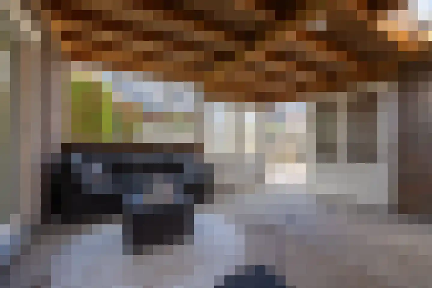 Nieuwe Kerkweg 37 Wehl thumbnail 21