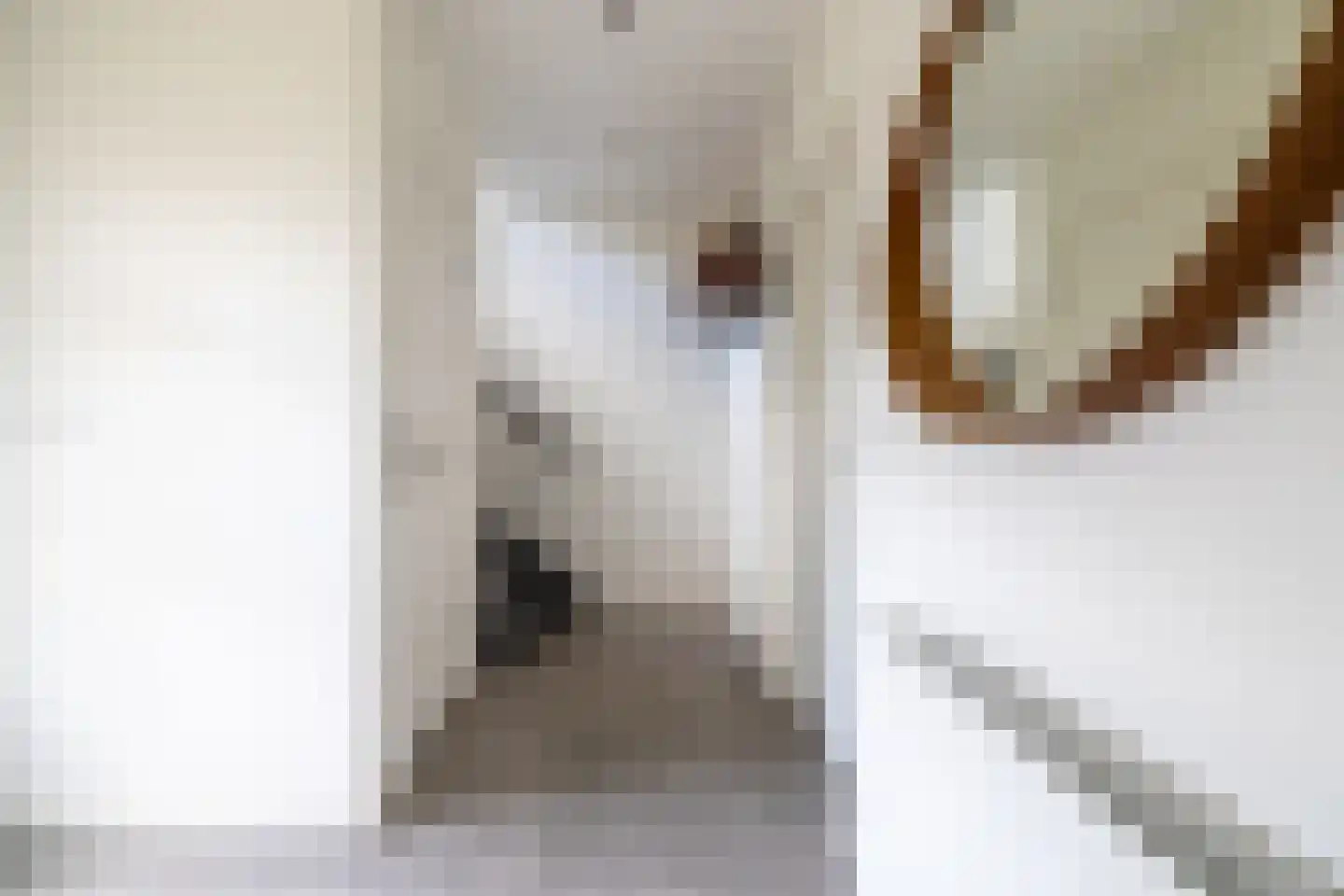 Nieuwe Kerkweg 37 Wehl thumbnail 33