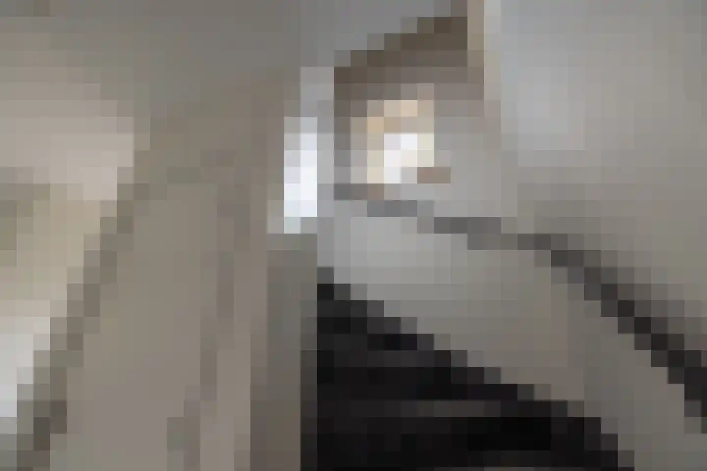 Nieuwe Kerkweg 37 Wehl thumbnail 35