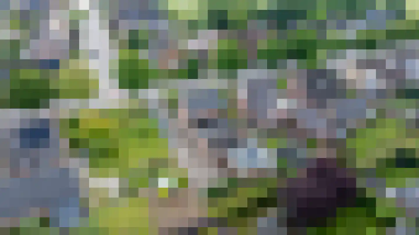 Nieuwe Kerkweg 37 Wehl thumbnail 54