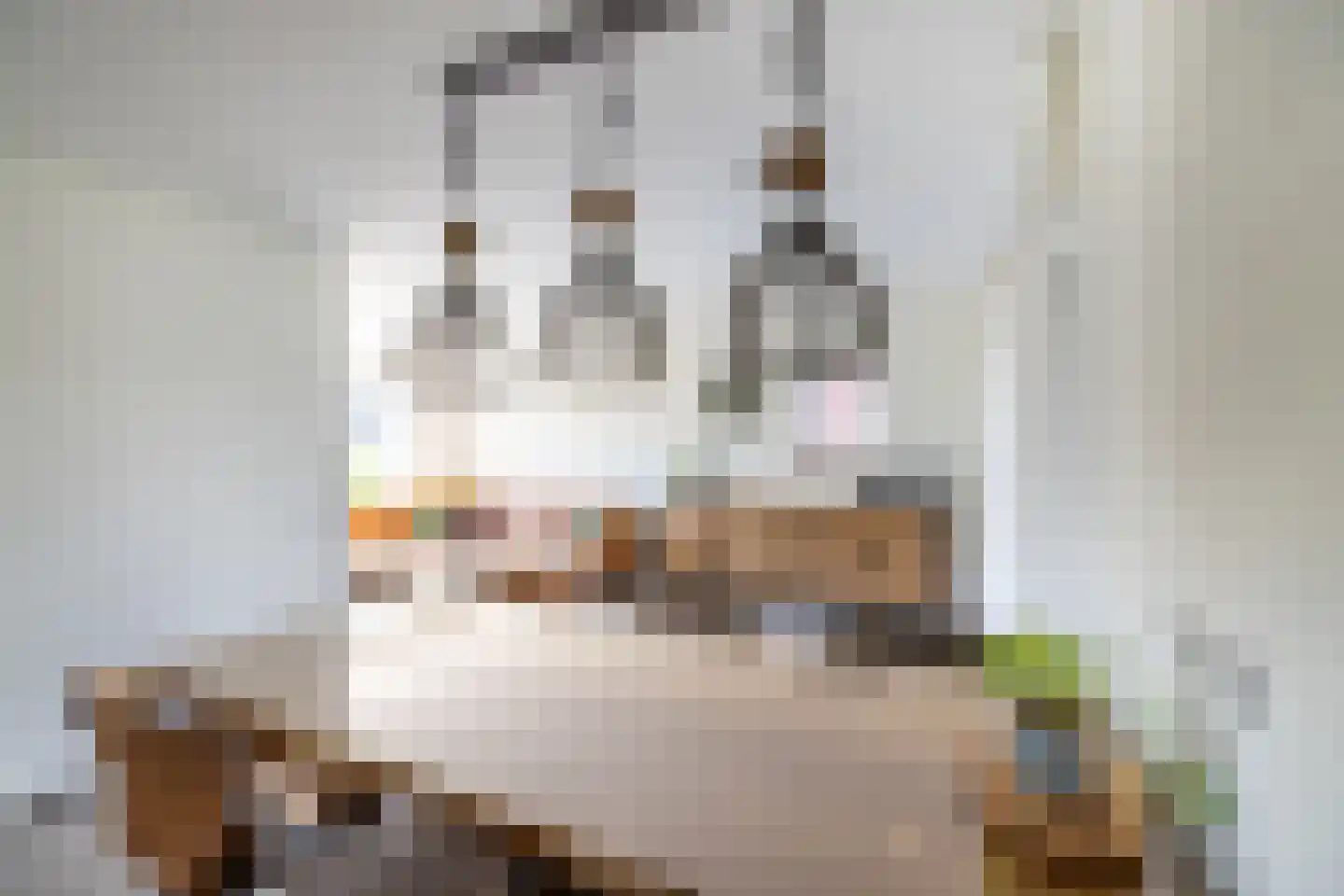 Nieuwe Kerkweg 37 Wehl thumbnail 8