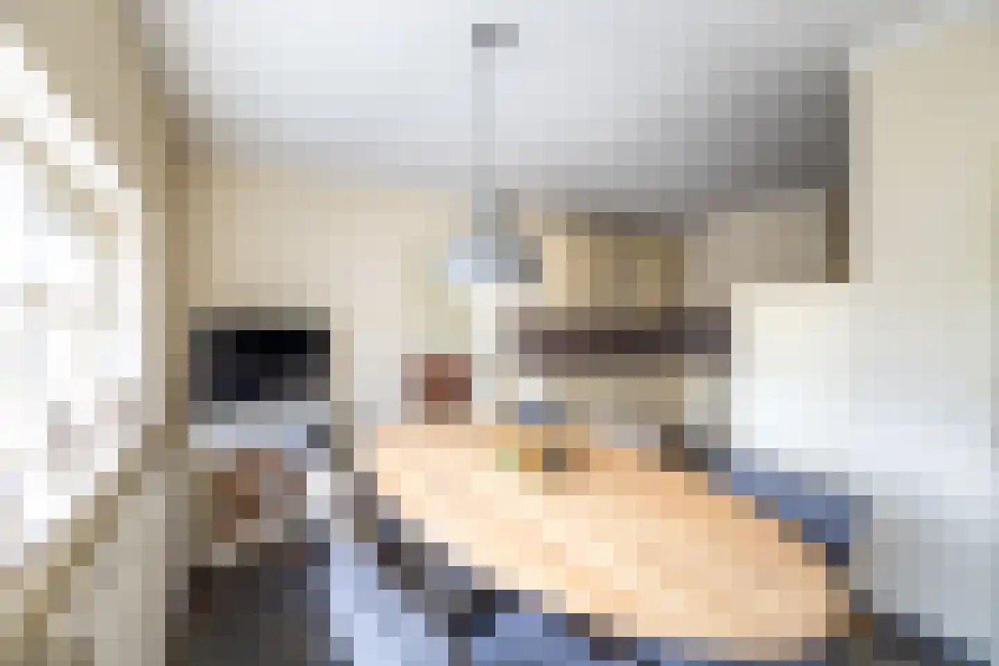 Nieuwe Kerkweg 4 Wehl thumbnail 10