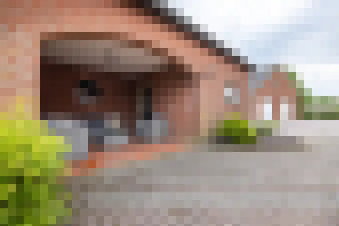 Nieuwe Kerkweg 4 Wehl thumbnail 21