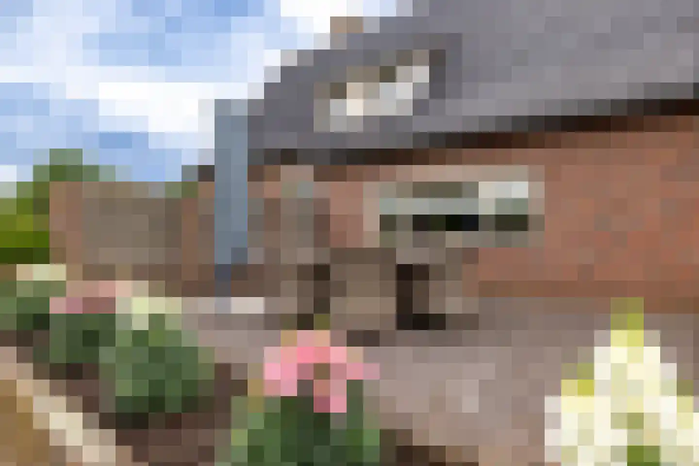 Nieuwe Kerkweg 4 Wehl thumbnail 23