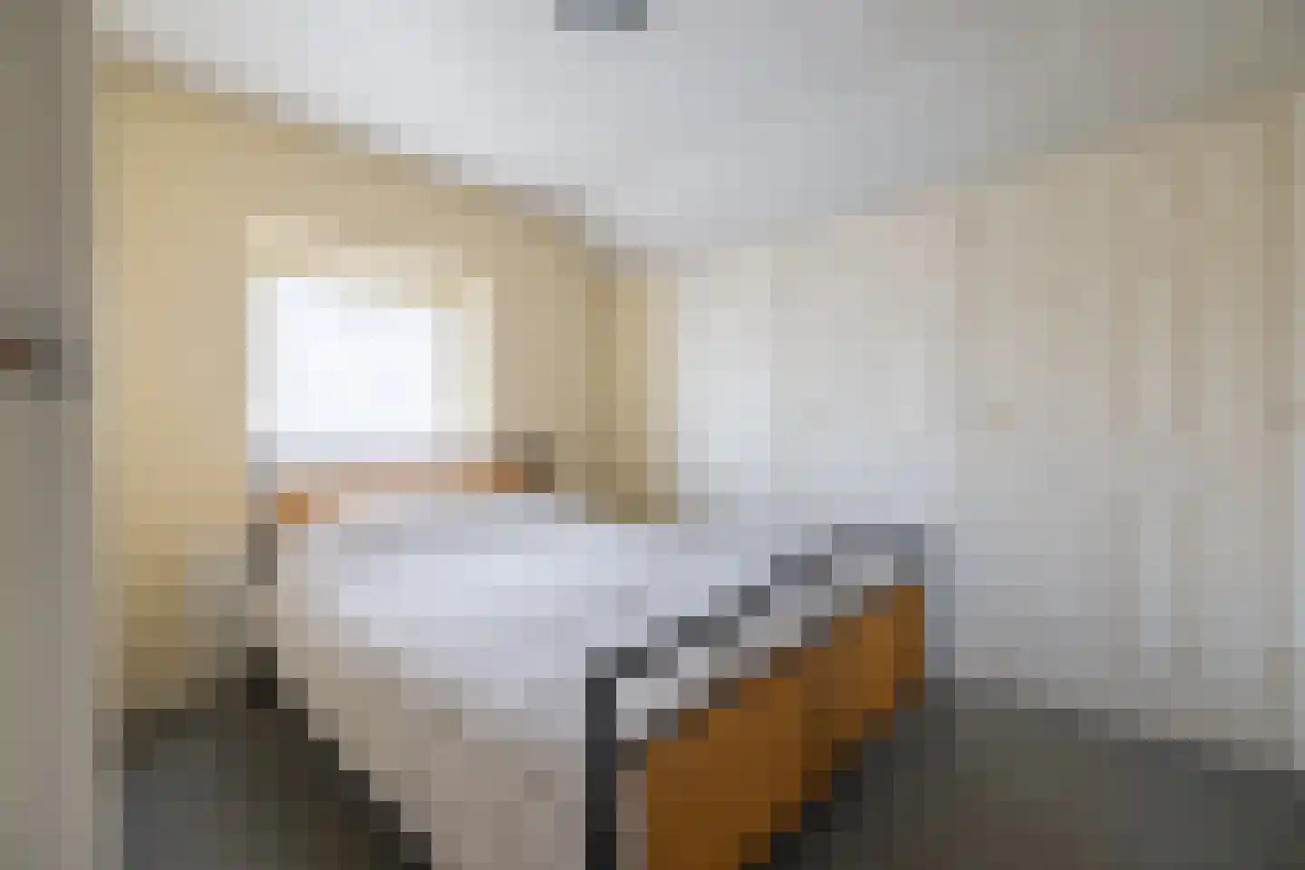 Nieuwe Kerkweg 4 Wehl thumbnail 29