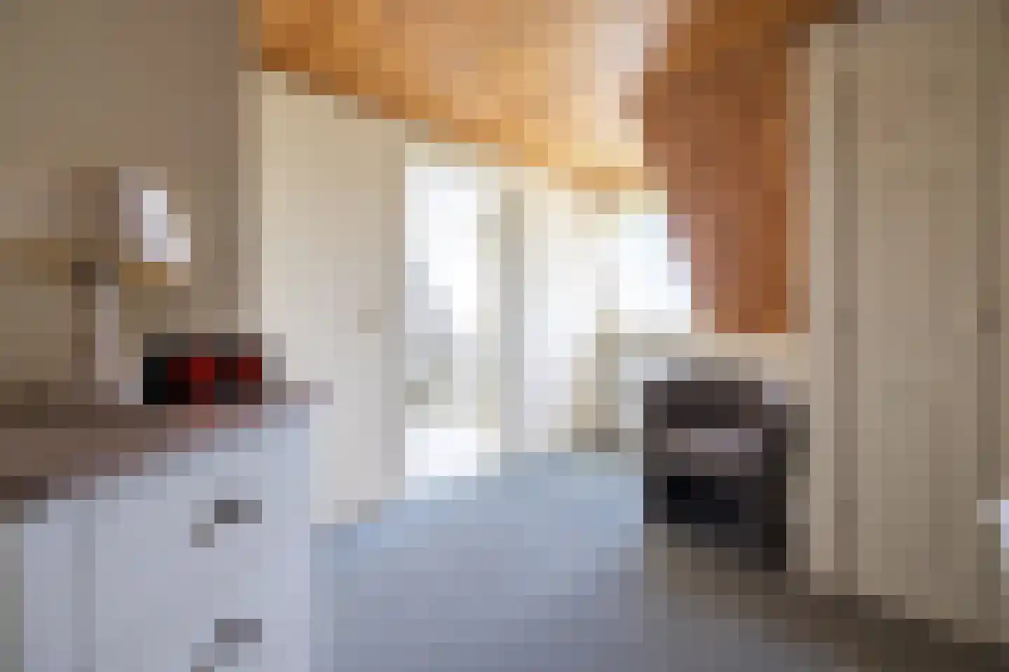 Nieuwe Kerkweg 4 Wehl thumbnail 36