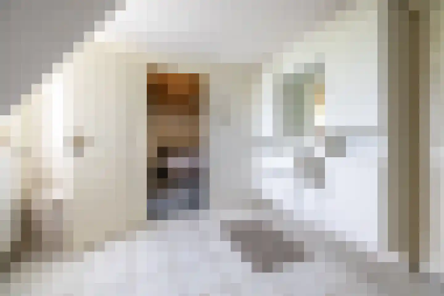 Nieuwe Kerkweg 4 Wehl thumbnail 39