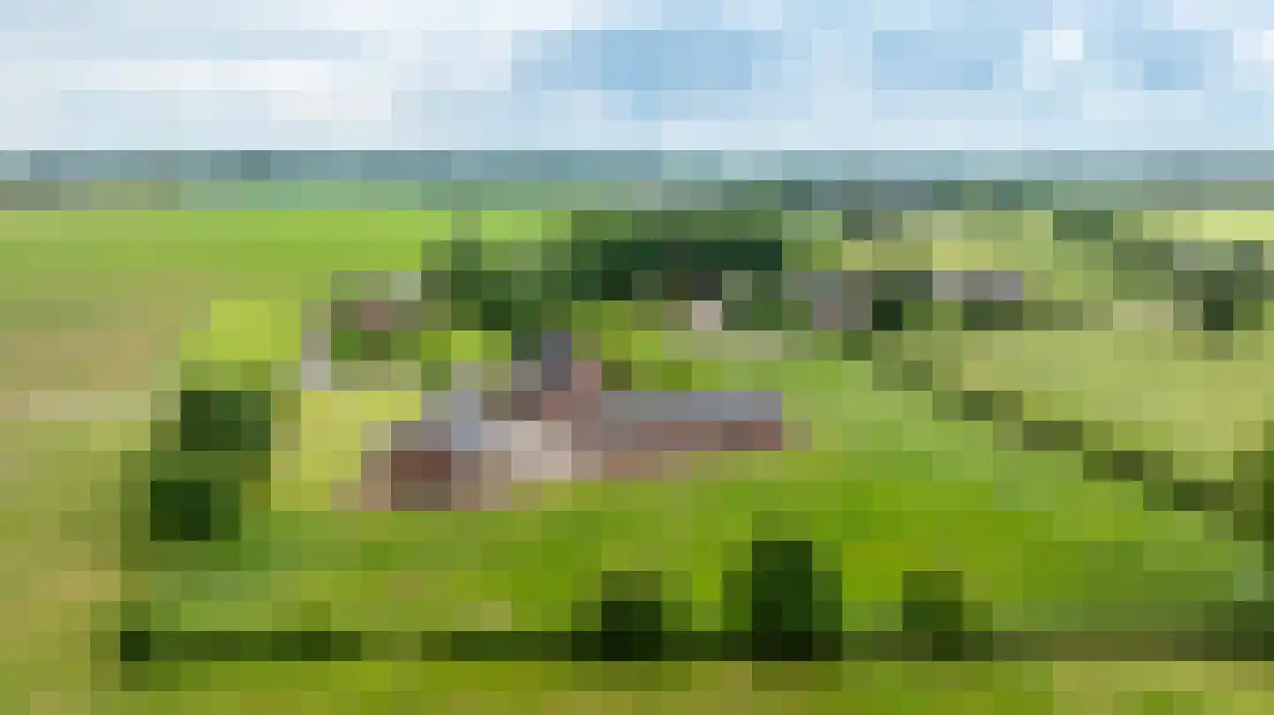 Nieuwe Kerkweg 4 Wehl thumbnail 45