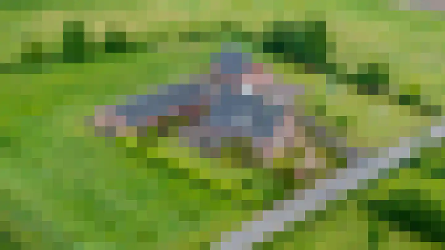 Nieuwe Kerkweg 4 Wehl thumbnail 46