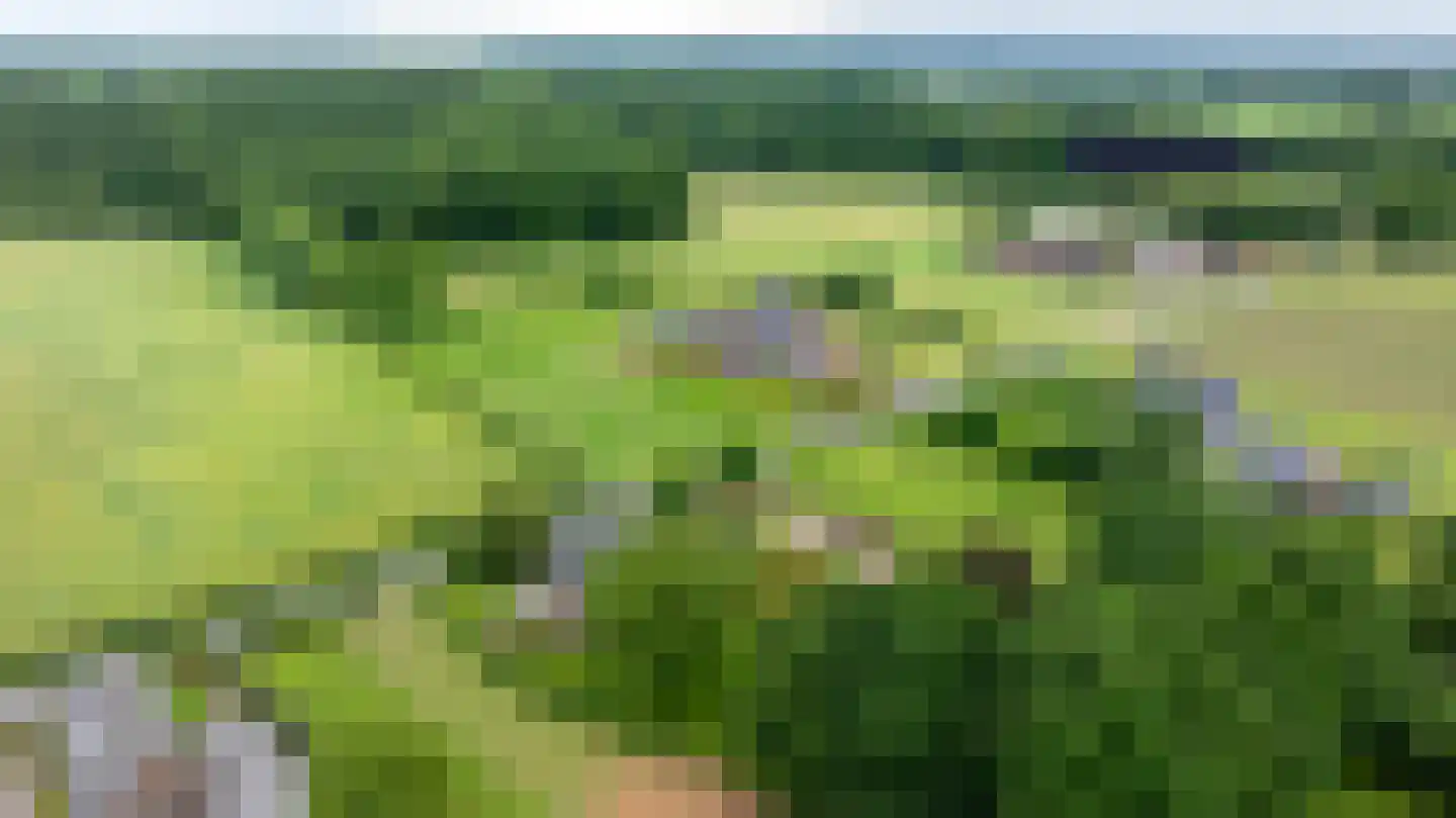 Nieuwe Kerkweg 4 Wehl thumbnail 47