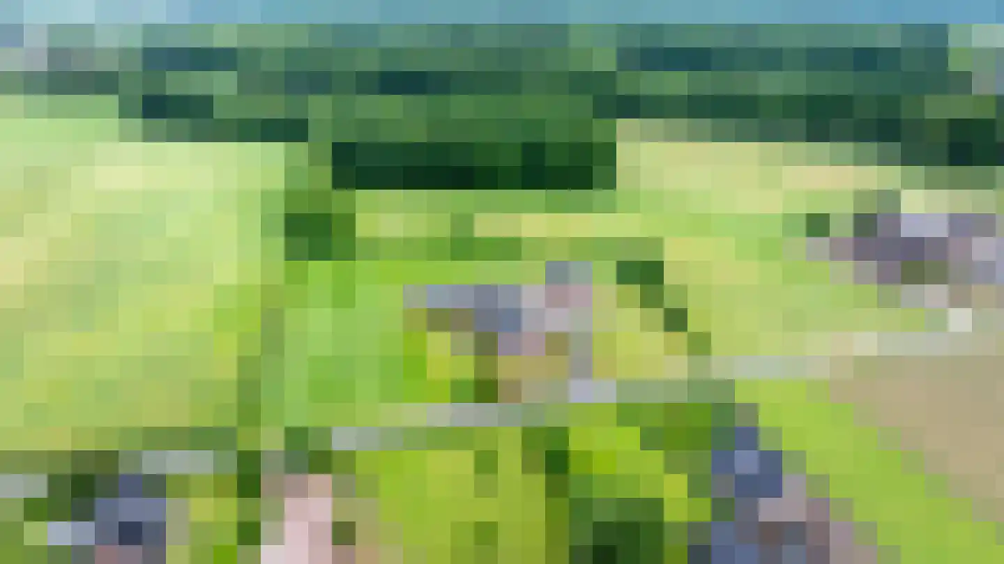 Nieuwe Kerkweg 4 Wehl thumbnail 48