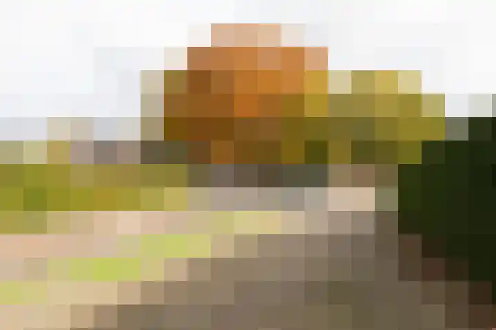 Nieuwe Kerkweg 51 Wehl thumbnail 13