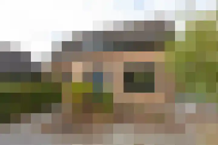 Nieuwe Kerkweg 51 Wehl thumbnail 15