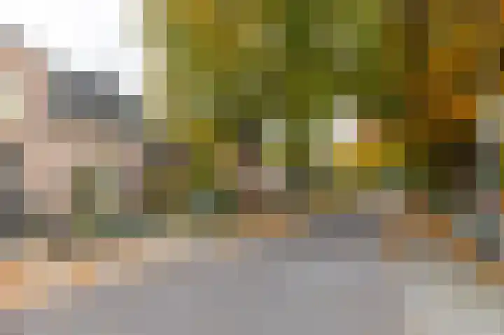 Nieuwe Kerkweg 51 Wehl thumbnail 17