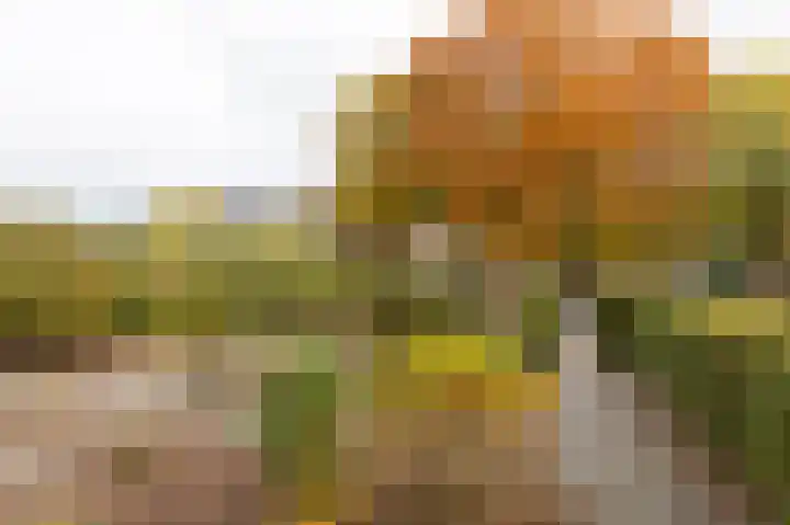 Nieuwe Kerkweg 51 Wehl thumbnail 18