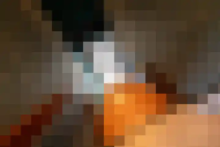 Nieuwe Kerkweg 51 Wehl thumbnail 48