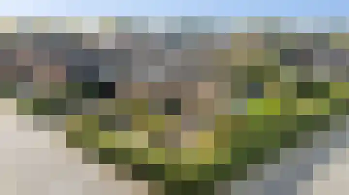 Nieuwe Kerkweg 51 Wehl thumbnail 5