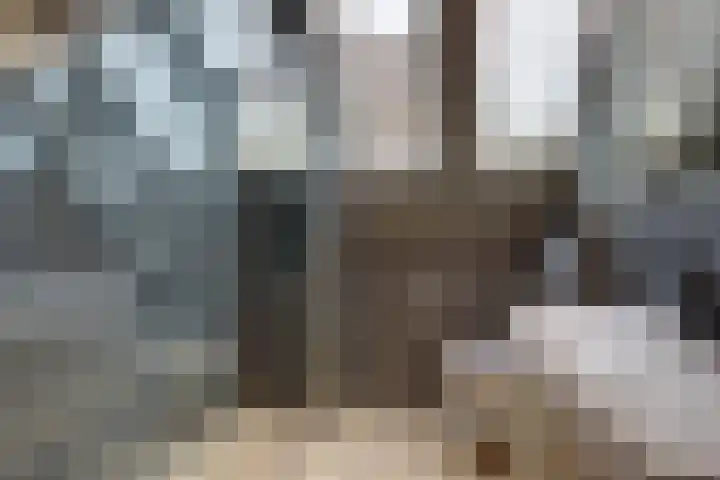 Nieuwe Kerkweg 51 Wehl thumbnail 59