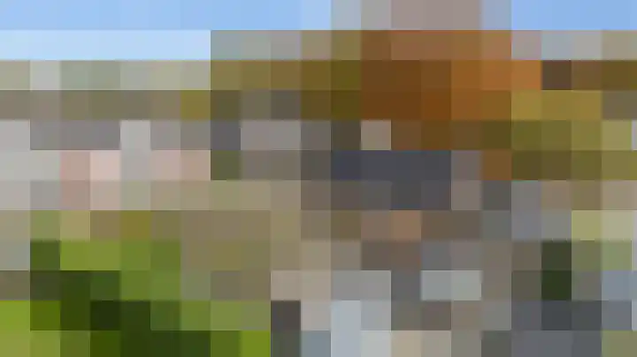 Nieuwe Kerkweg 51 Wehl thumbnail 6