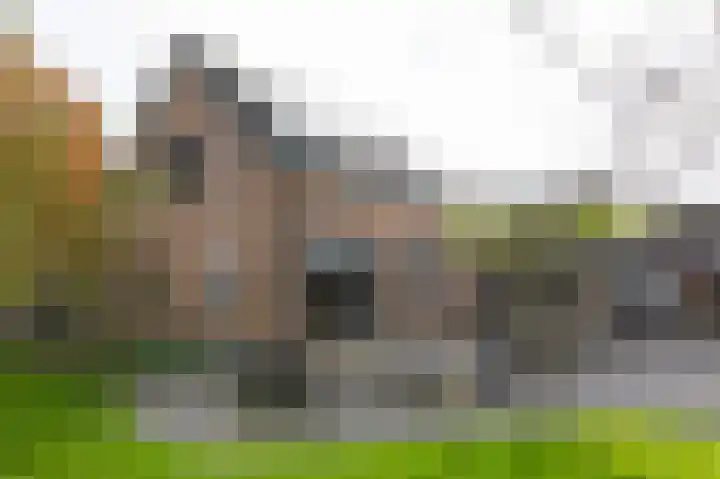 Nieuwe Kerkweg 51 Wehl thumbnail 64
