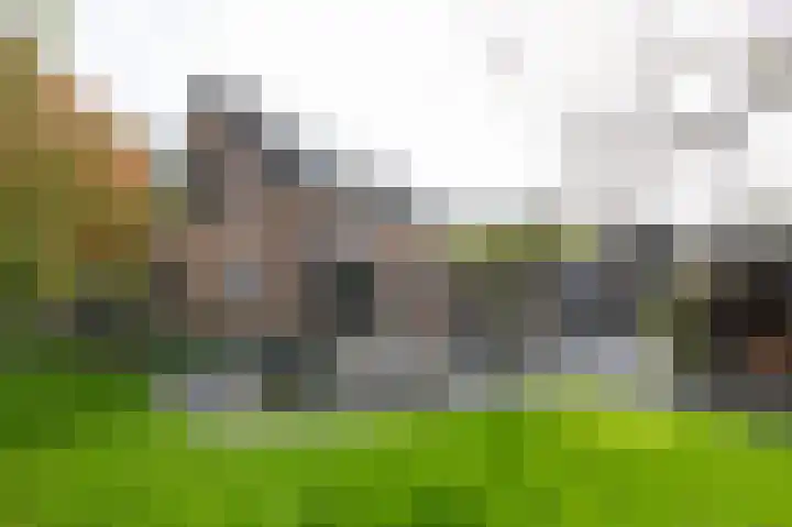 Nieuwe Kerkweg 51 Wehl thumbnail 65