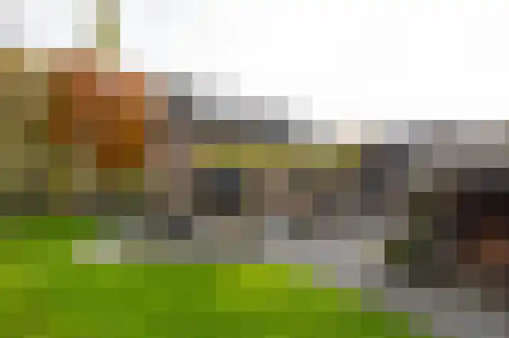Nieuwe Kerkweg 51 Wehl thumbnail 66