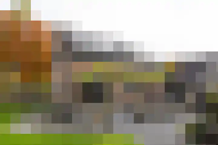 Nieuwe Kerkweg 51 Wehl thumbnail 67