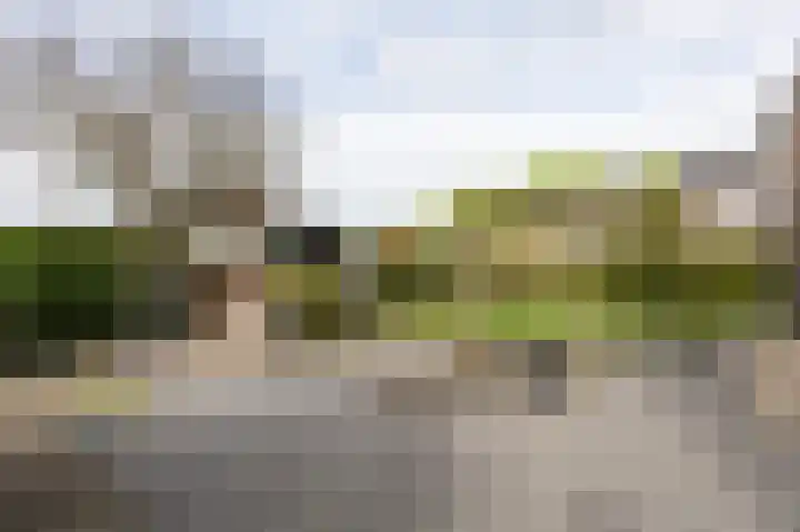 Nieuwe Kerkweg 51 Wehl thumbnail 69
