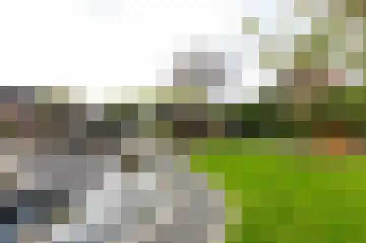 Nieuwe Kerkweg 51 Wehl thumbnail 70