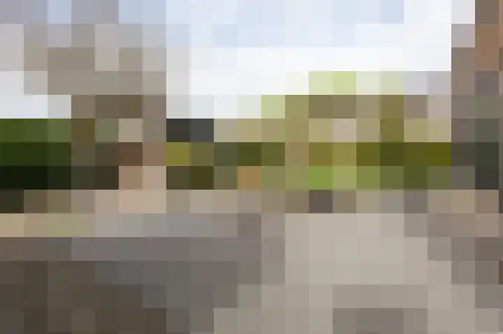 Nieuwe Kerkweg 51 Wehl thumbnail 71
